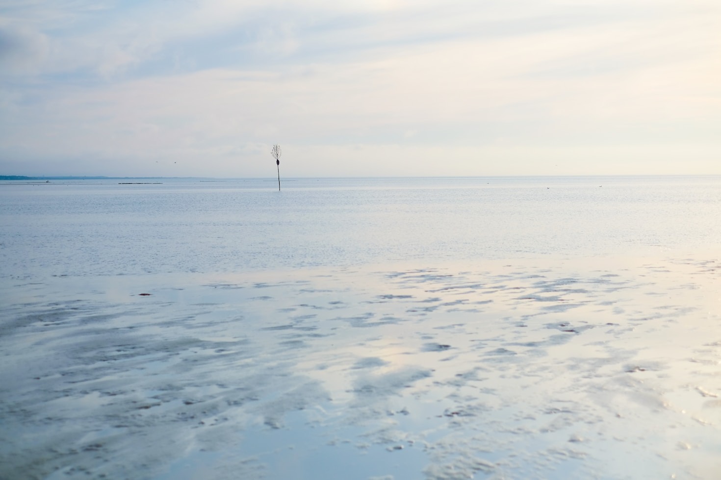 Essential Habits For Mindful Daily Living